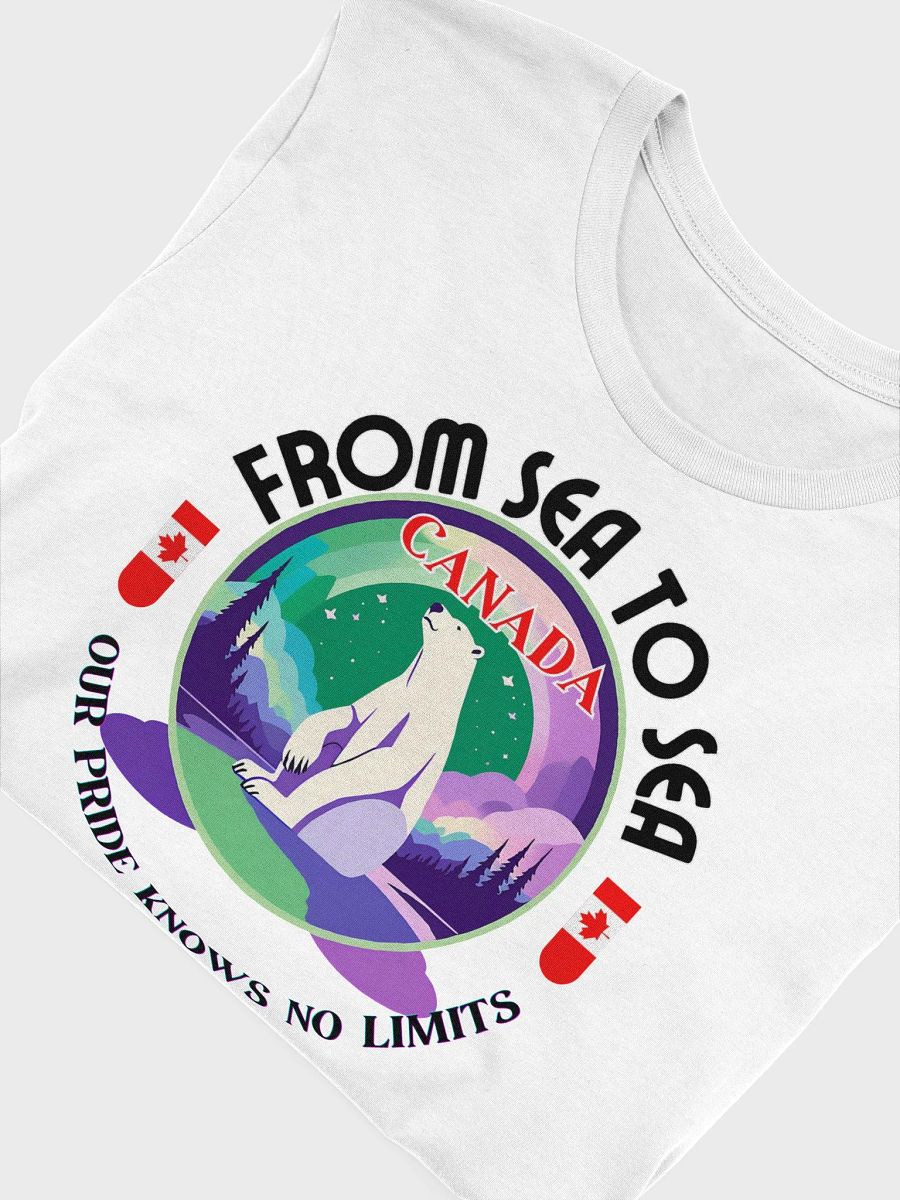 Northern Lights Pride T-Shirt product image (19)