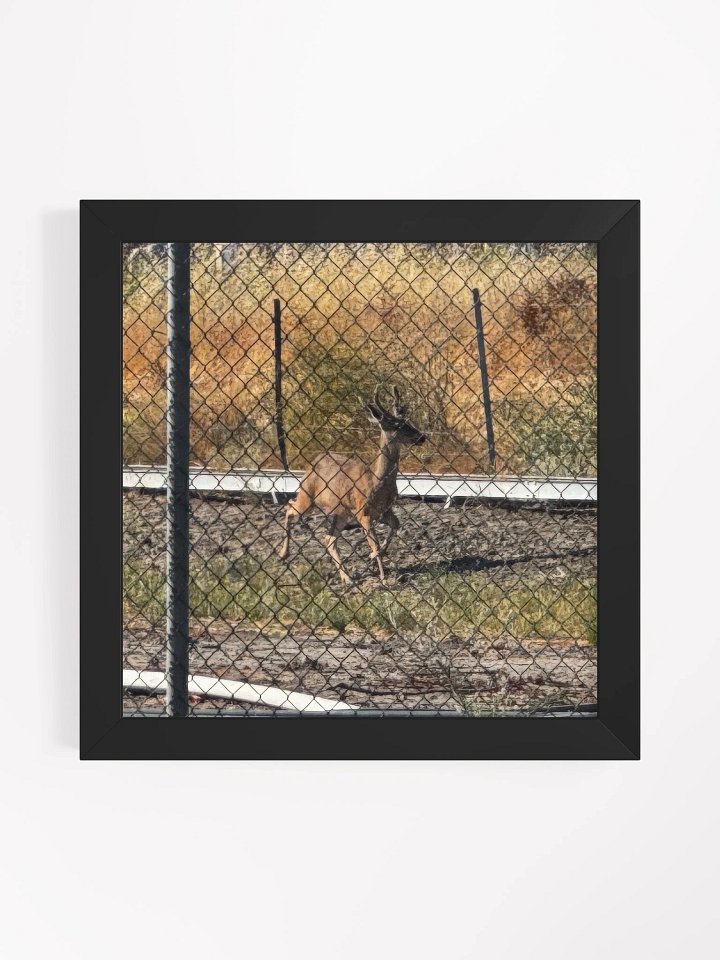 Deer product image (1)