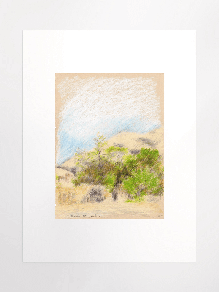 Leo Carillo State Park, CA #1 09.08.86 print product image (2)