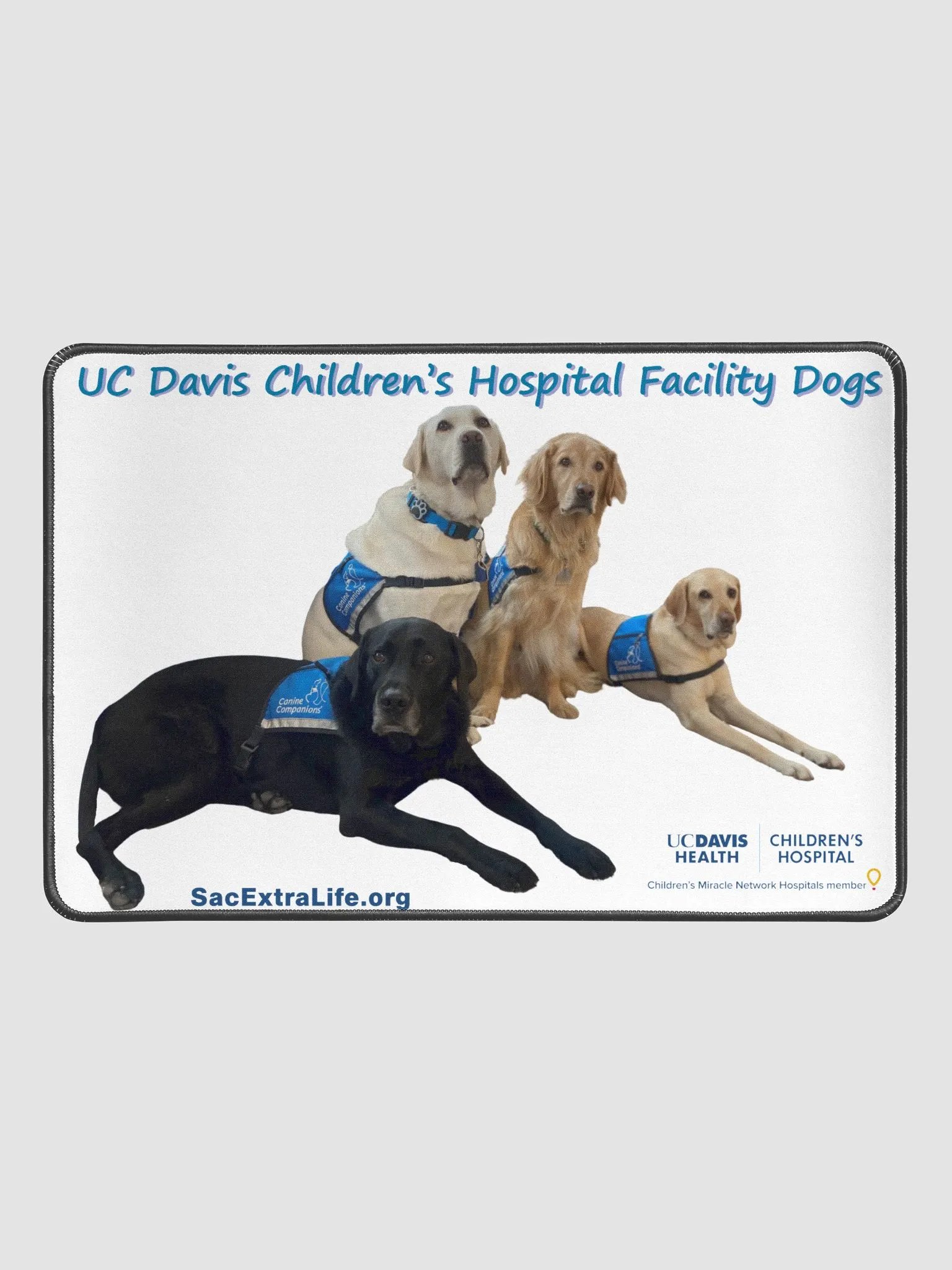 Facility Dogs Desk Mat product image (1)