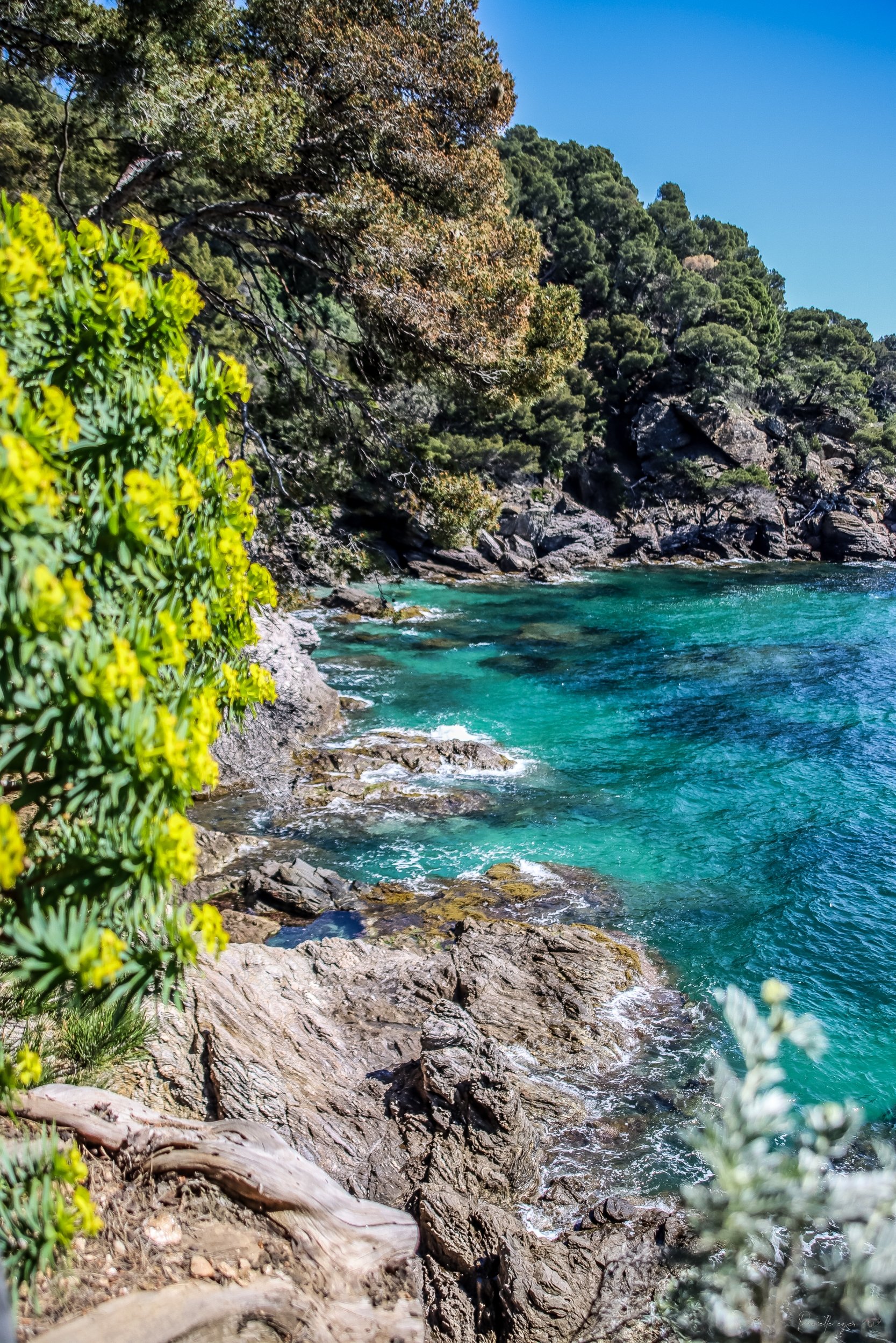 🌊 Fine Art - Azure Whispers - Pointe du Figuier product image (1)