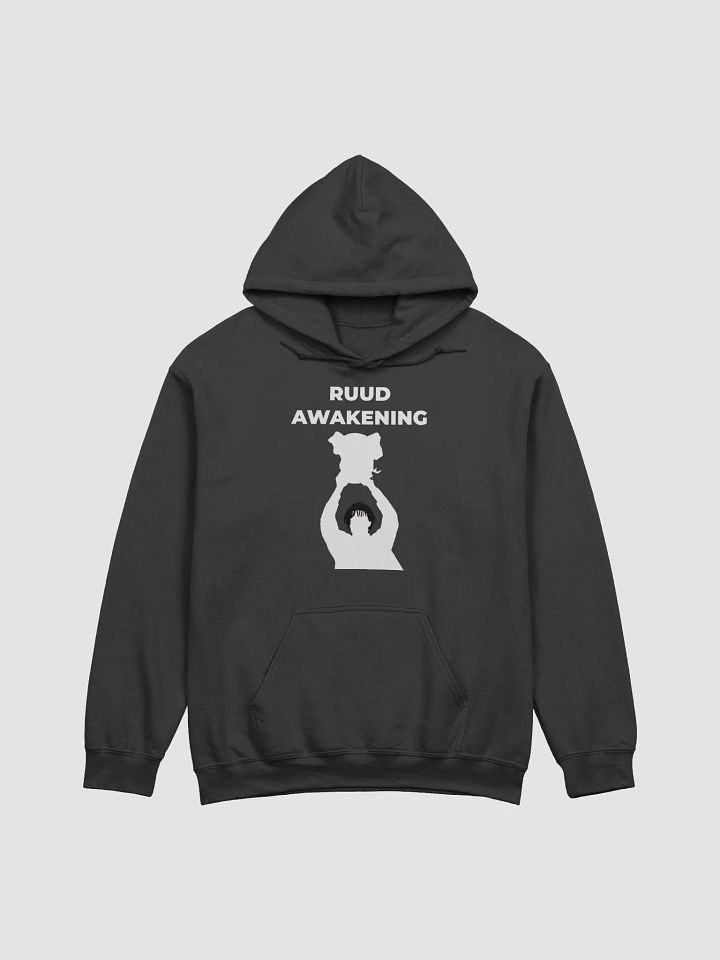 Ruud Awakening Hoodie product image (4)
