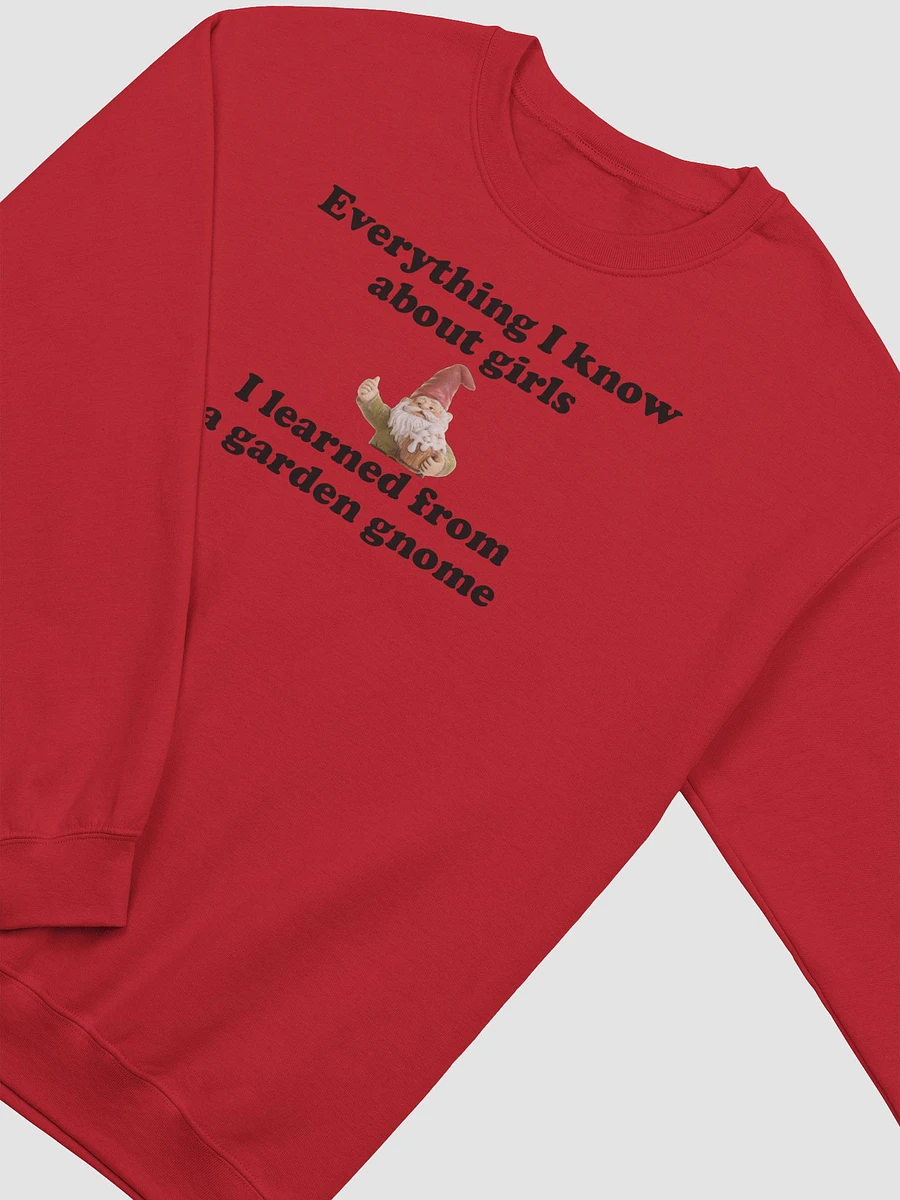 Everything I know about girls classic sweatshirt product image (18)