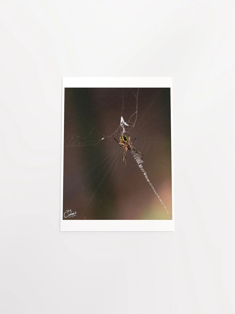 Webs - Print product image (4)