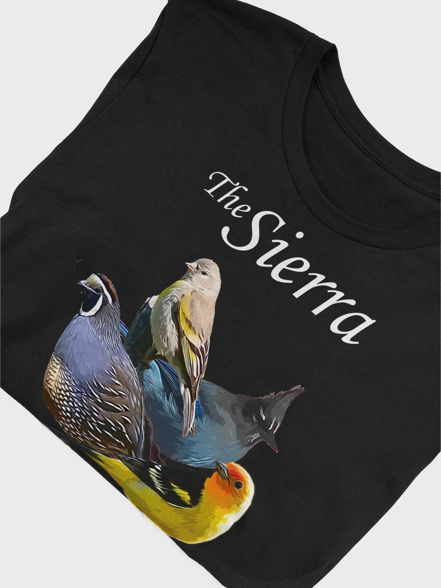 The Rio Grande Valley T-shirt product image (5)