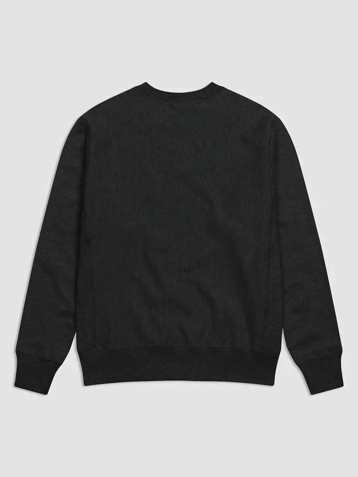 Basketball Planet Champion Sweatshirt product image (4)