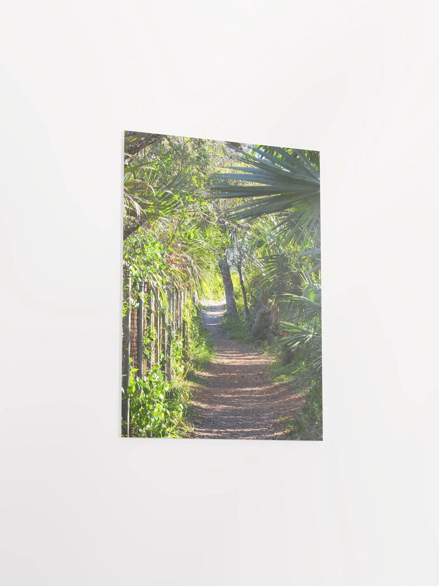Ponce Inlet, FL Trail product image (38)
