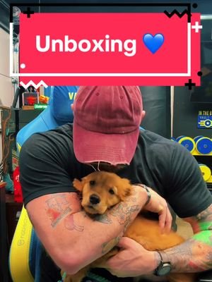 I do love chai ☕️ ❤️ #unboxing #haul #love #puppy #goldenretriever 