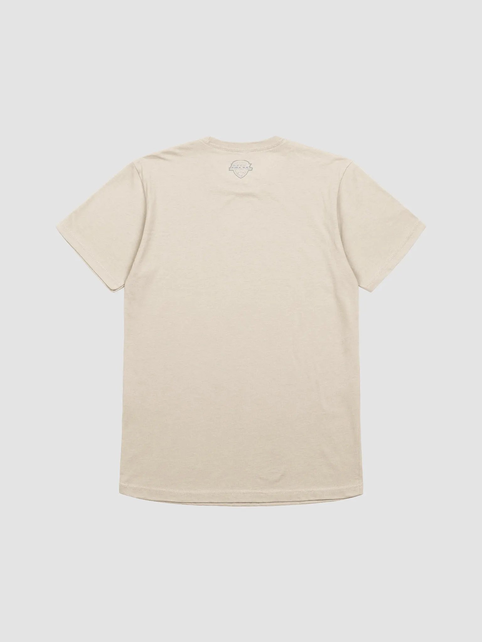 Rochester Ragin Rams T-Shirt by Next Level product image (6)