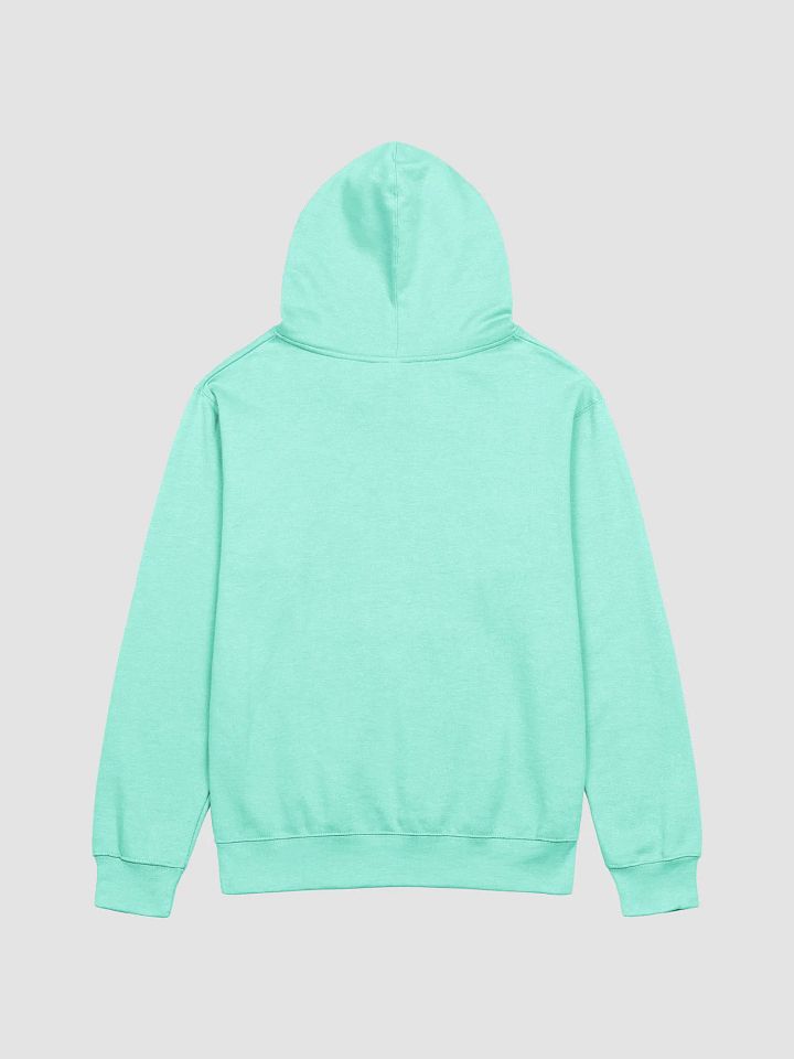 Fortune Favors the Bold Hoodie product image (2)