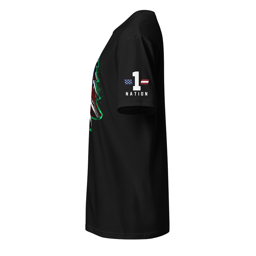 American Flag Christmas product image (2)