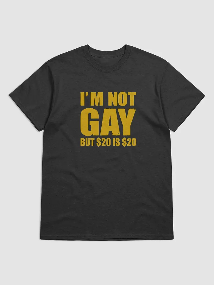 "I'm Not Gay But $20 Is $20 T-shirt - Funny Graphic Sweatshirt for Men/Women" product image (1)