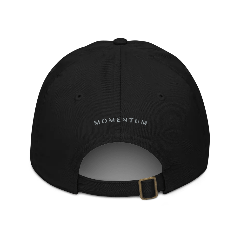MOMENTUM Organic Dad Hat product image (5)