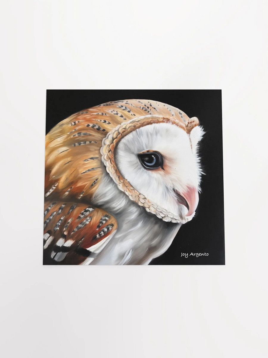 Barn Owl Print product image (3)