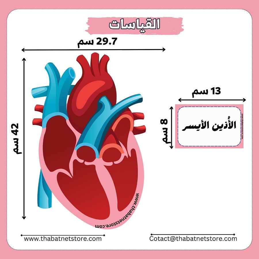 نشاط ملائمة أقسام القلب - pdf product image (3)