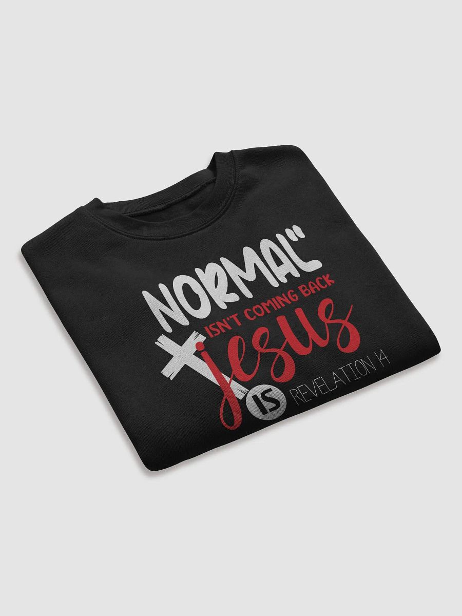 Revelation's Return: Jesus, Beyond Normalcy product image (8)