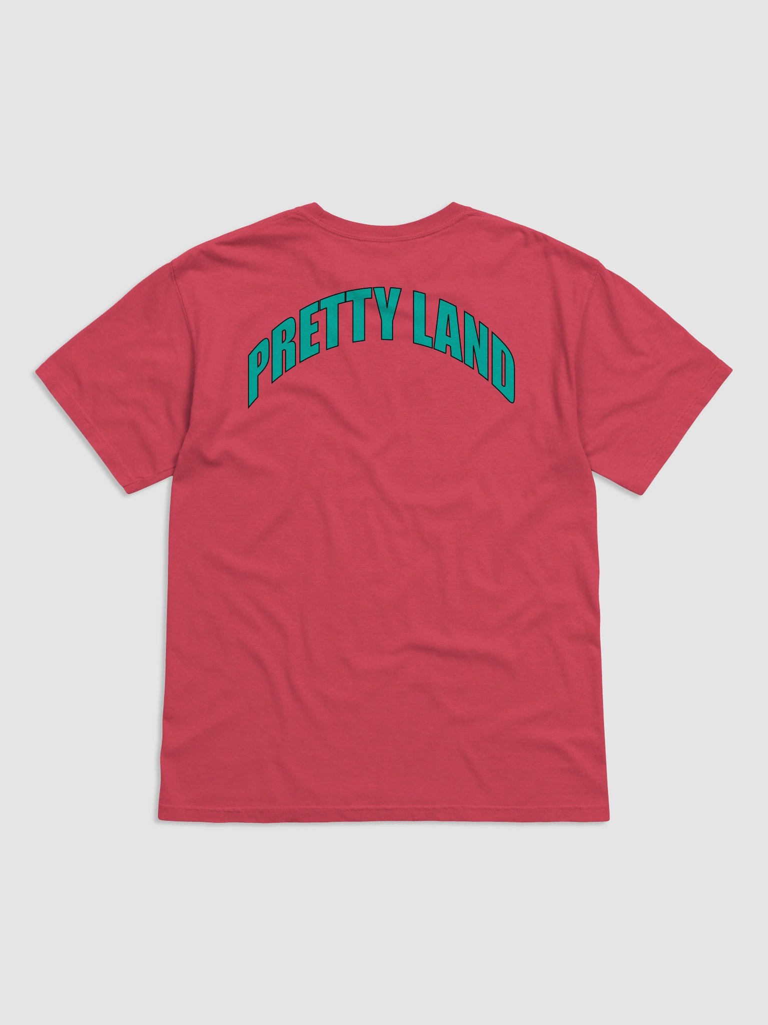 Teal "Pretty Land" Tee product image (7)