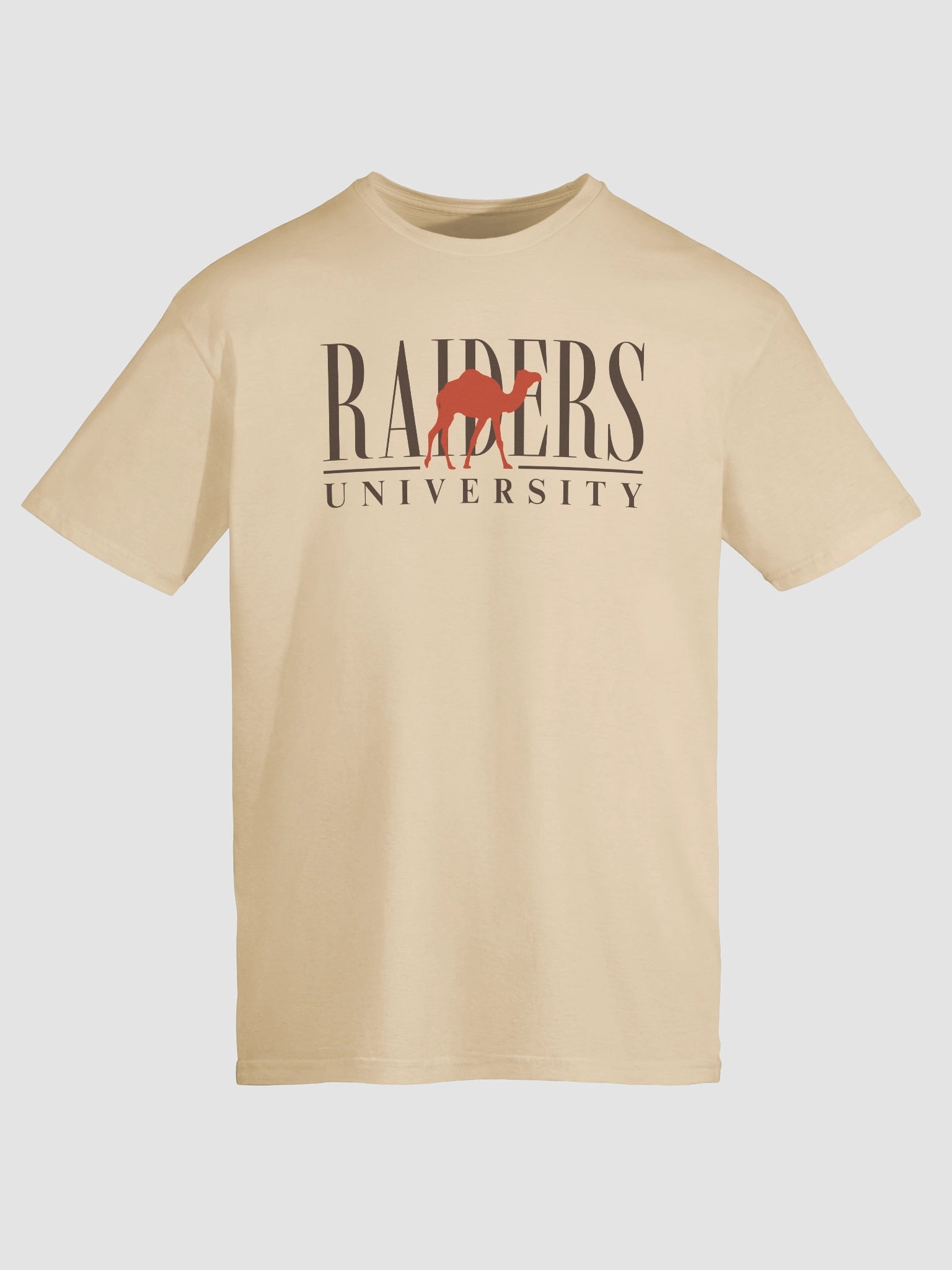 Raiders University Tee product image (9)