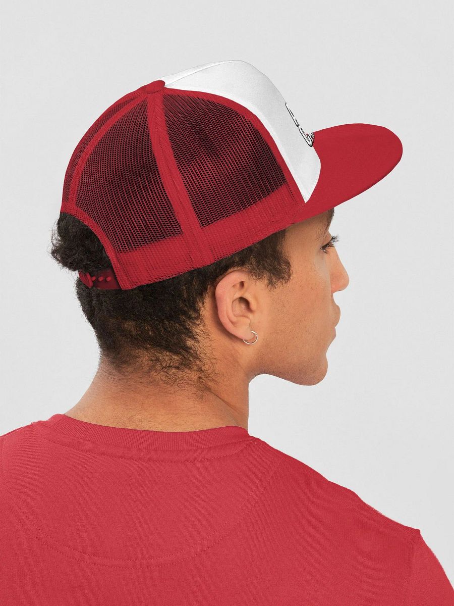 Embroidered Astro Canuck Logo Hat product image (8)