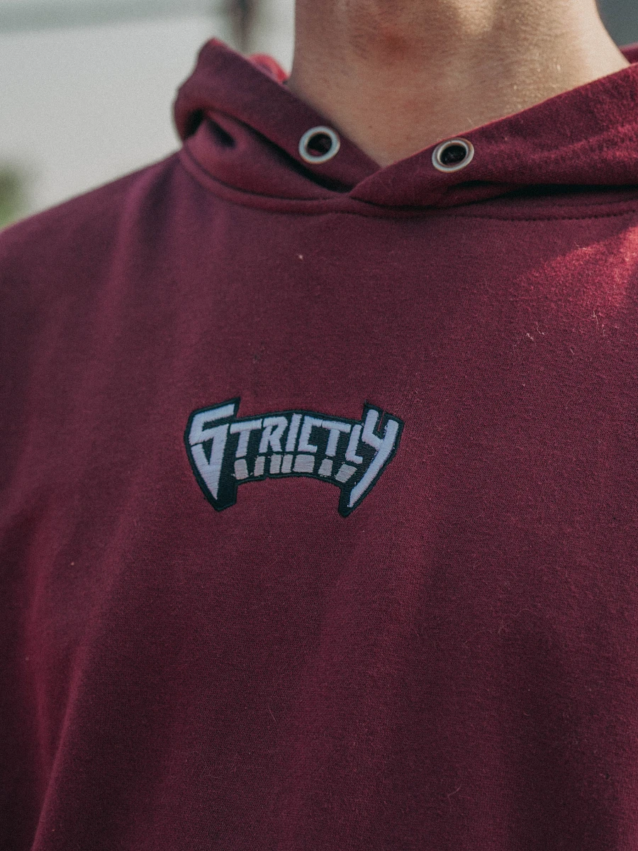 Strictly Nolan's Hoodie product image (2)