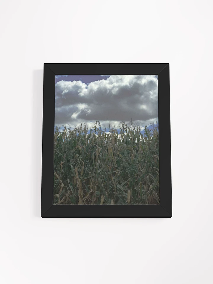 Hebron Cornfield Framed Poster product image (14)