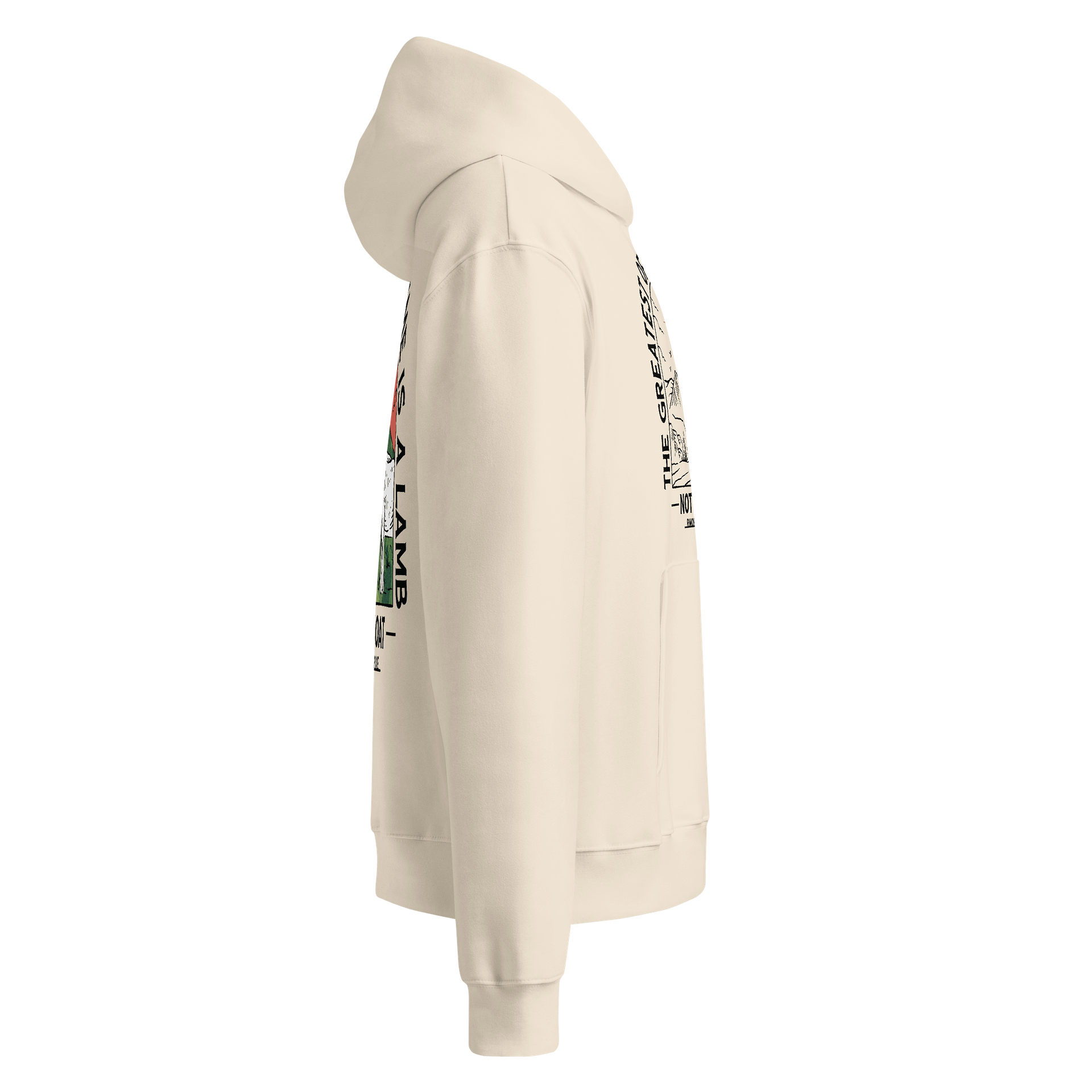 "THE GREATEST” OVERSIZED HEAVYWEIGHT PREMIUM HOODIE product image (4)