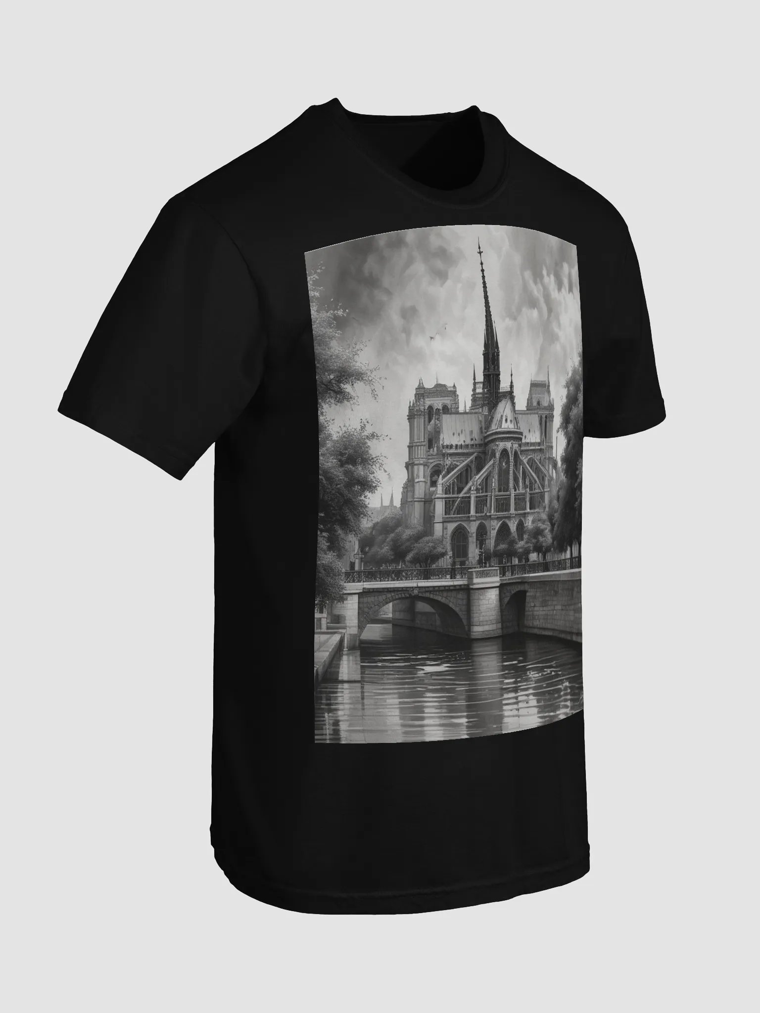 notre dame de paris product image (47)