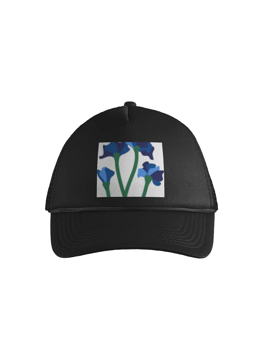 Mũ đen product image (1)