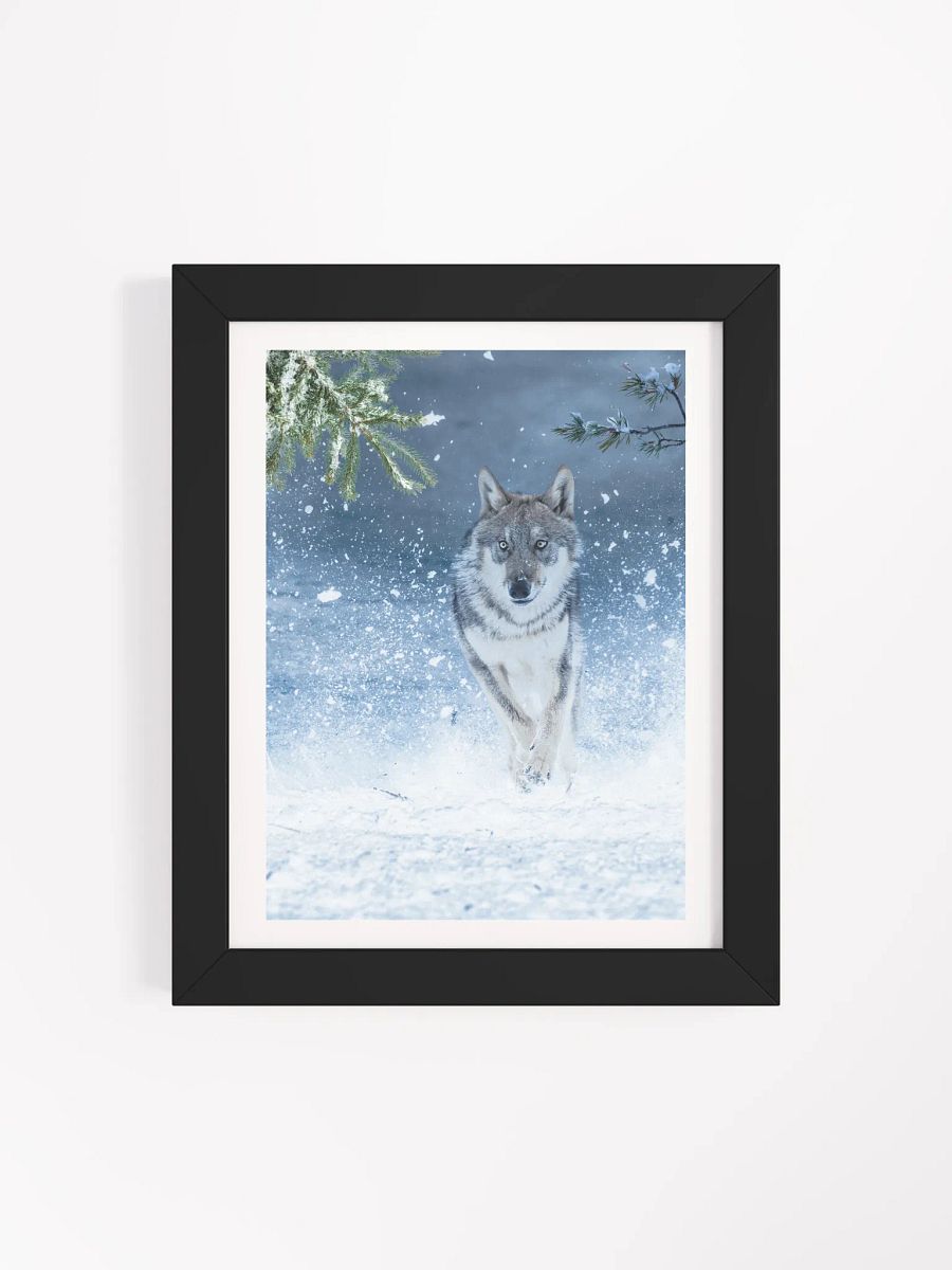 WOLF ON THE HUNT product image (73)