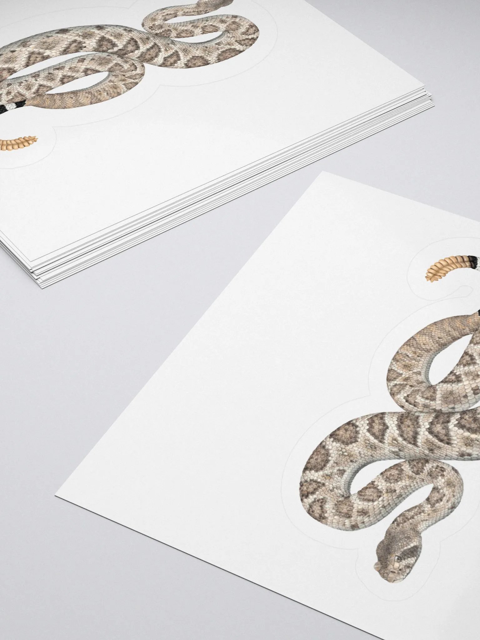 Die Cut Sticker – Western Diamondback Rattlesnake product image (4)
