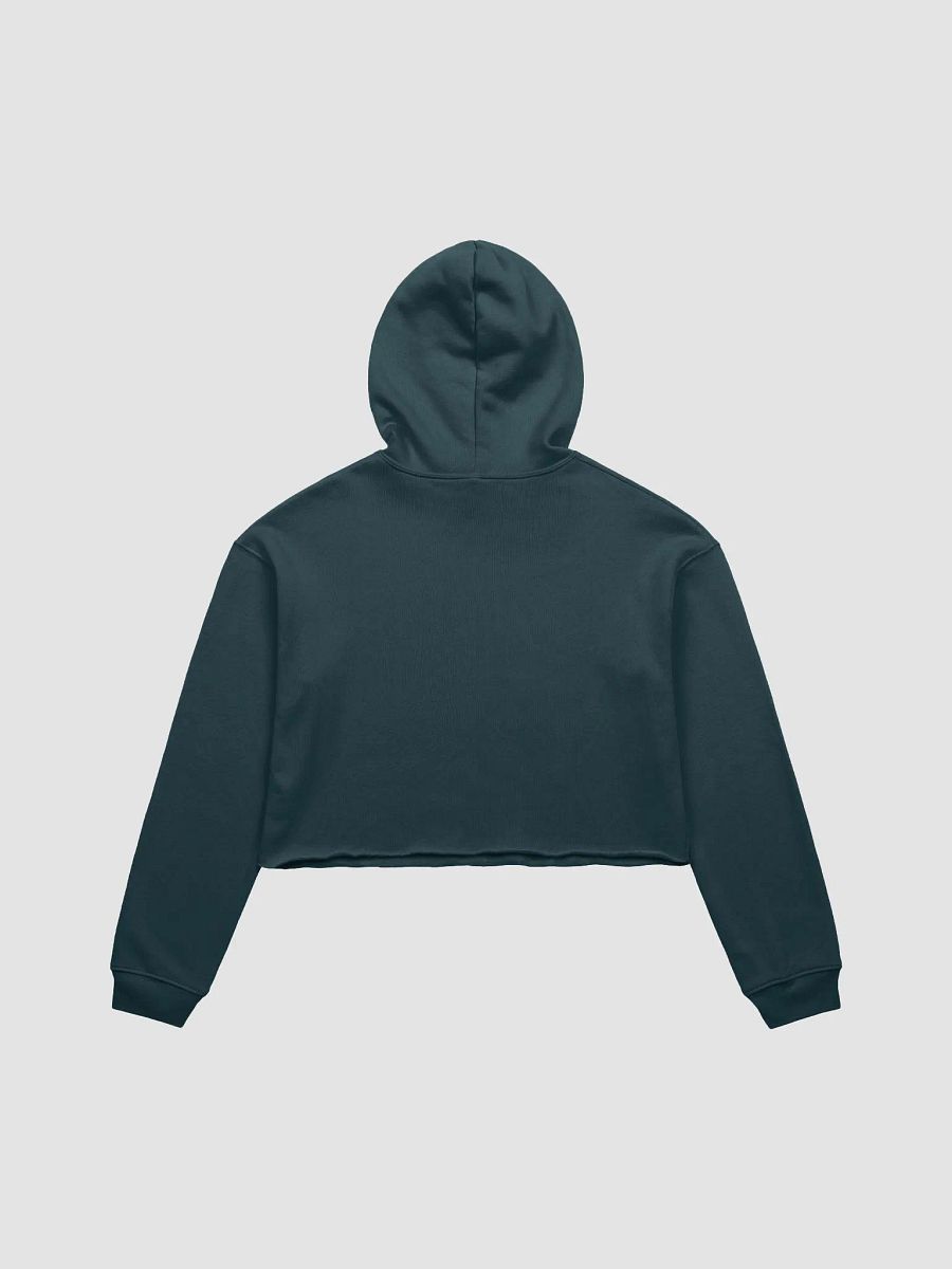 MAGA Morons Crop Hoodie product image (16)