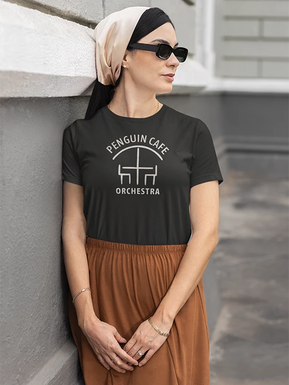 Penguin Cafe Orchestra Women's Relaxed Fit Tee product image (1)