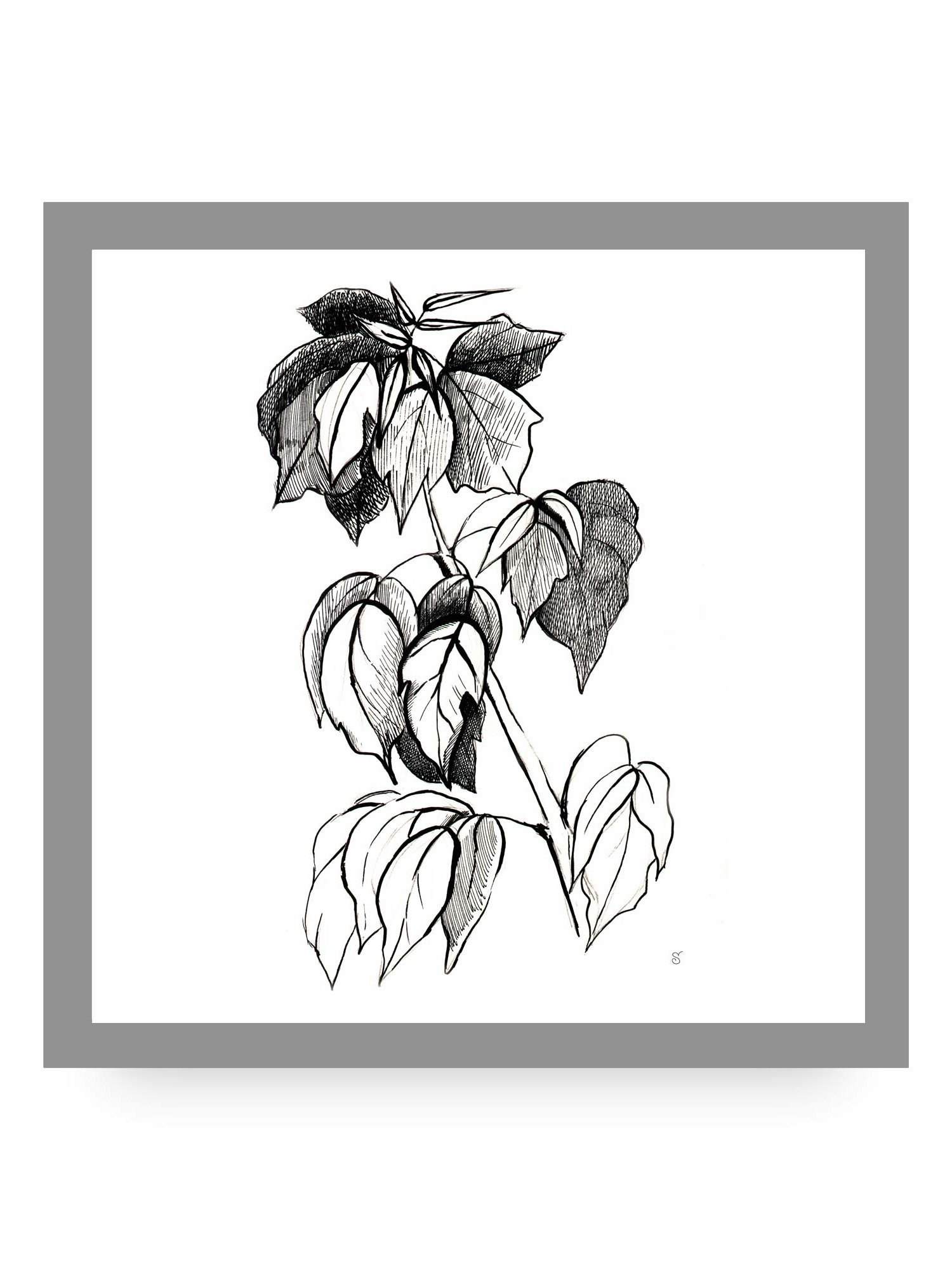 Botanical Line Art Canvas Print - Stylish Graphical Twig product image (11)