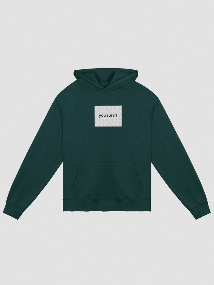 Rimas Zeimys hoodie product image (1)