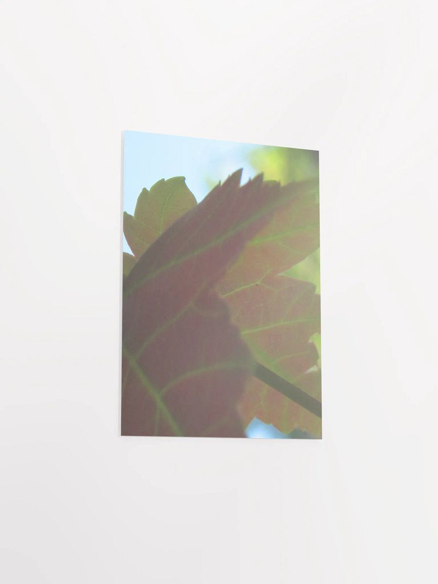 Leaf Close Up product image (32)