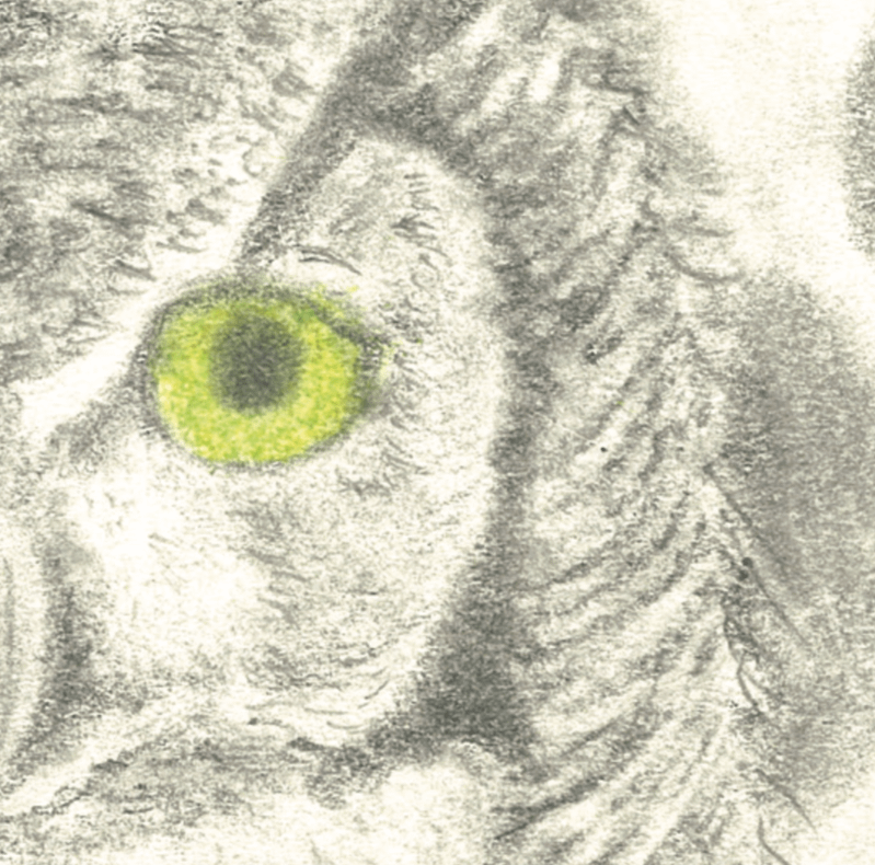 “Wise Eyes” Print product image (2)