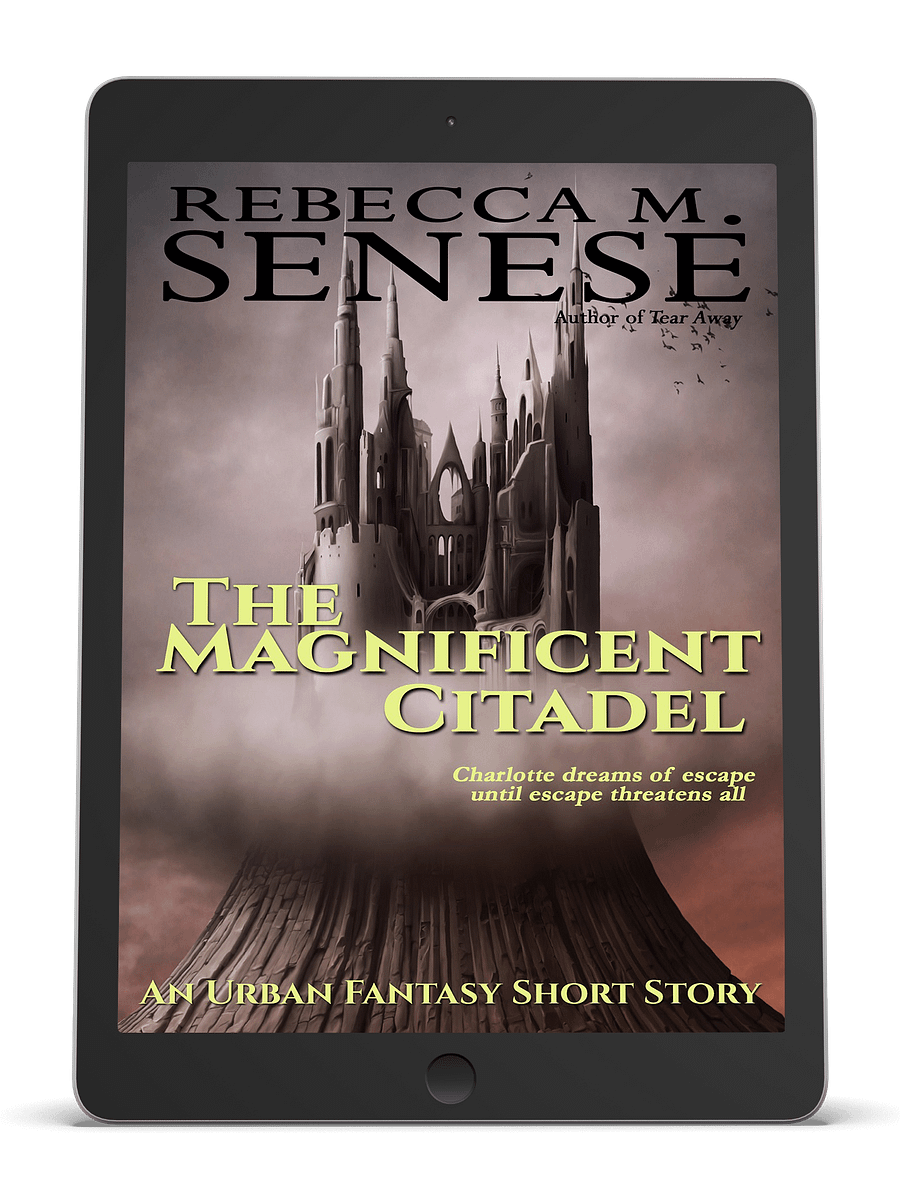 The Magnificient Citadel product image (1)