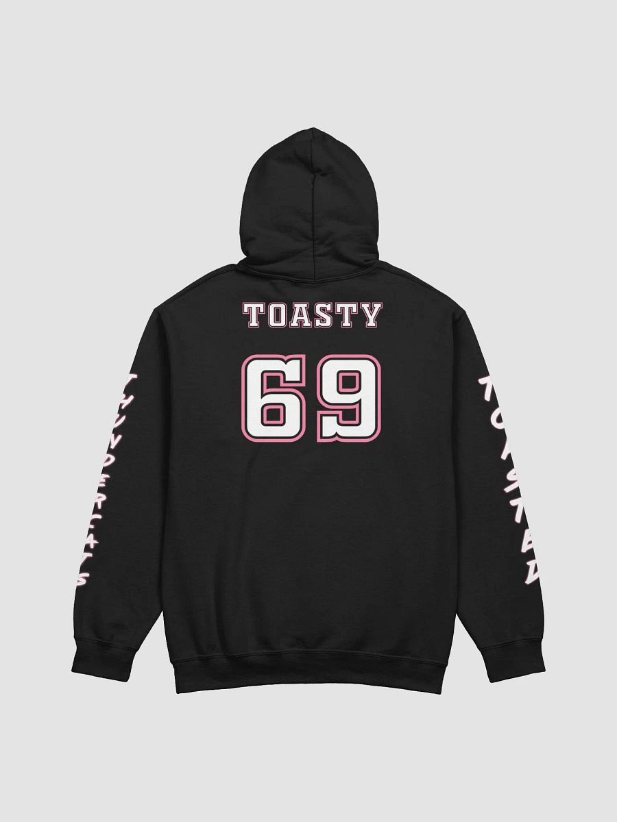 Toasted Thundercats Gilden Hoodie product image (27)