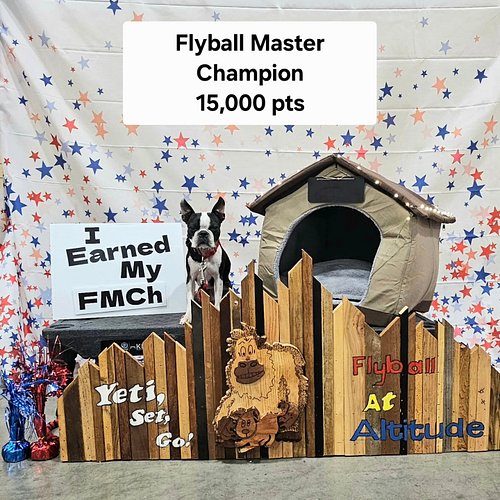 Height Dog Ouija made the trip out to Colorado for the Altitude Flyball Tournament 🗻 We were honored to get an invite from ou...