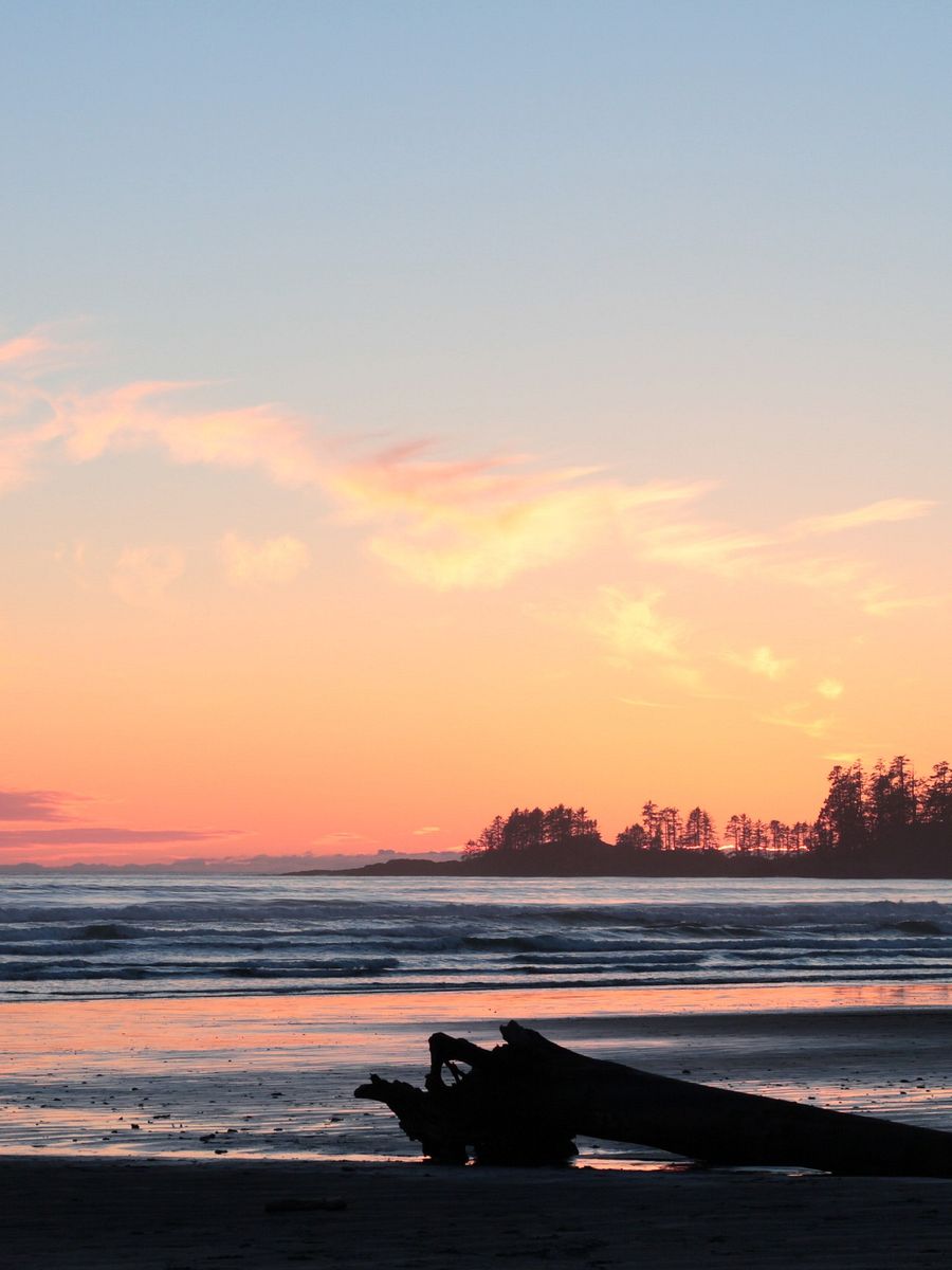 Wild Pacific Light product image (9)