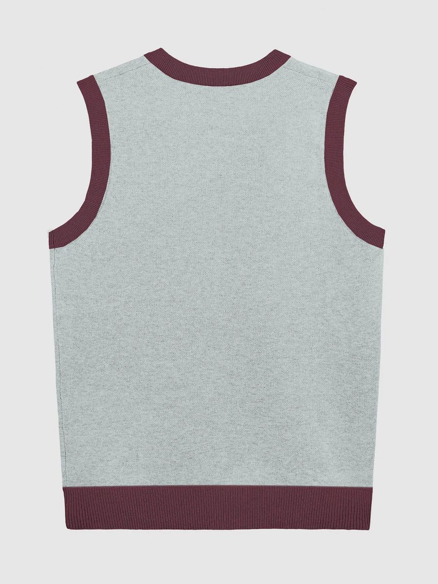 Dynamic Silhouette Knit V-Neck Vest product image (2)