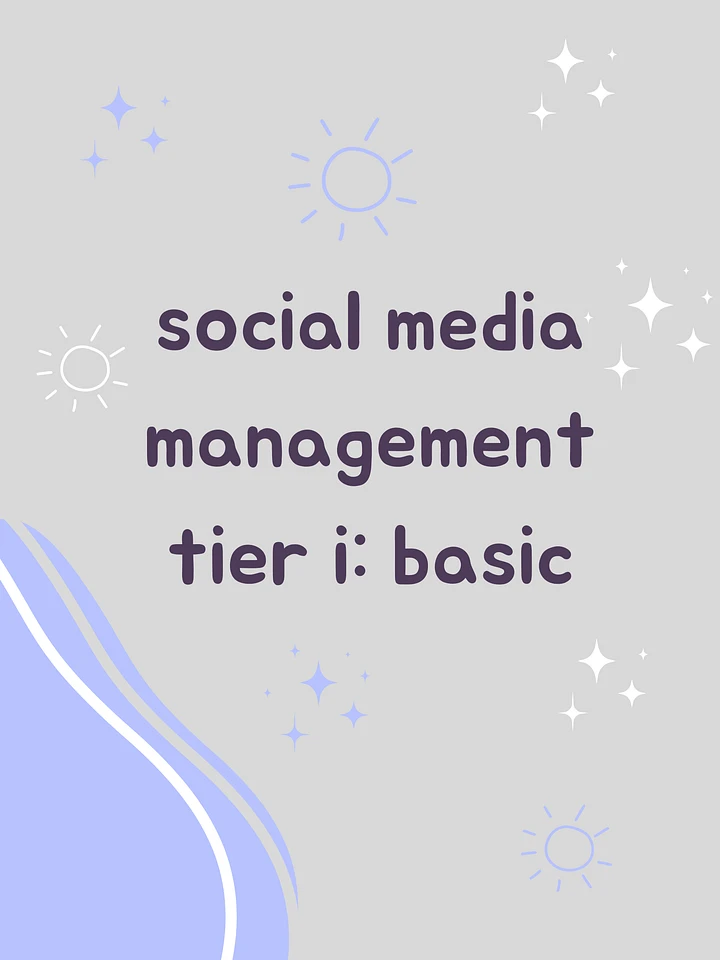 Social Media Management Tier I: Basic product image (1)
