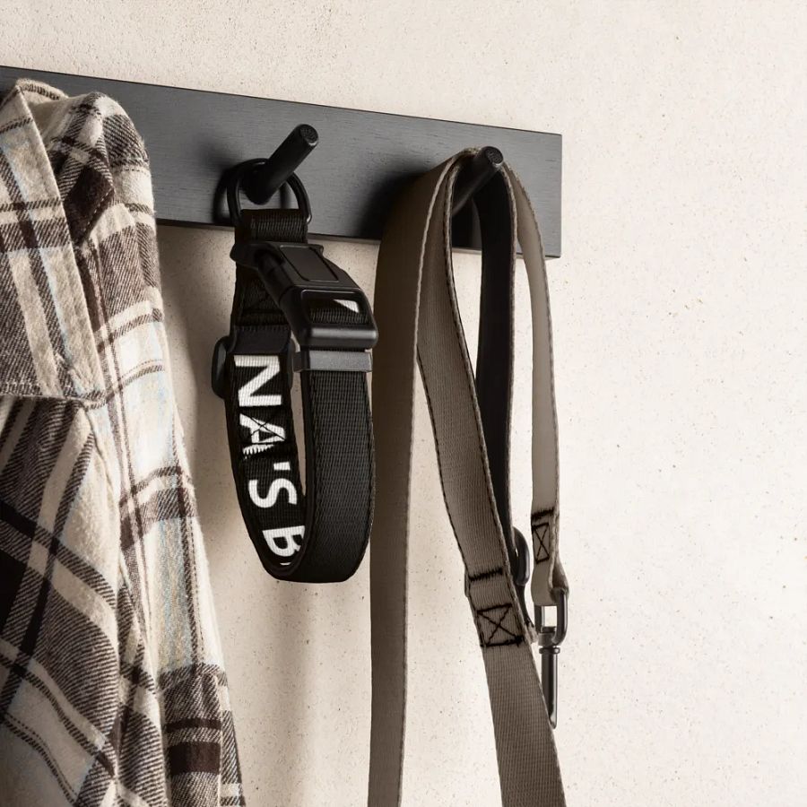 Xena's Best Boy Collar product image (6)