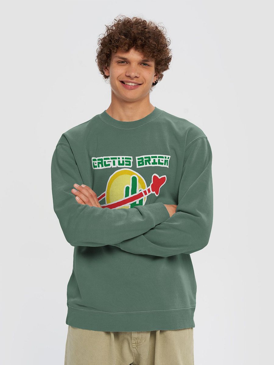 Cactus Brick (Sweaters) - Outer Space product image (3)