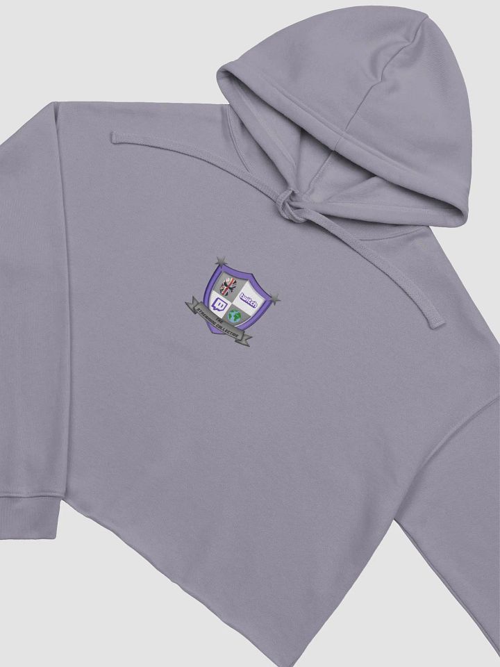 The Streaming Collective - Bella+Canvas Fleece Crop Hoodie product image (1)