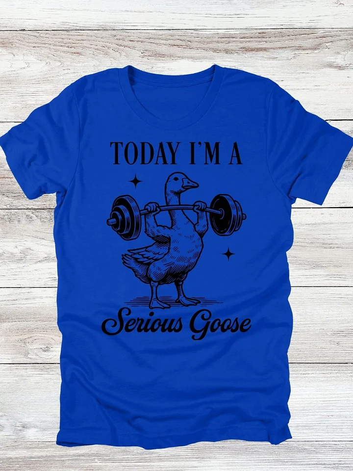 Today I'm A Serious Goose T-Shirt product image (10)