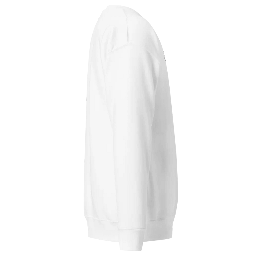 GR8 Minimal Embroidered Sweatshirt (Light Ver.) product image (3)