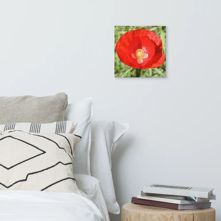 Red Poppy product image (8)