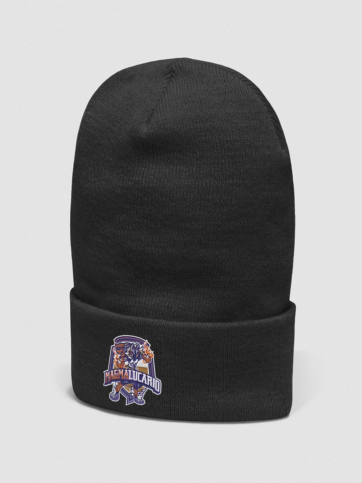 new logo beanie product image (2)