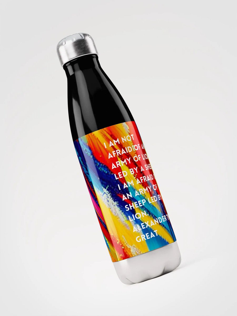 Stainless Steel Water Bottle product image (3)